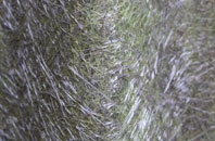 Tynewydd fibreglass roof work